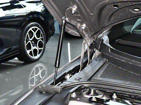 2026�� �����������̰� 310������