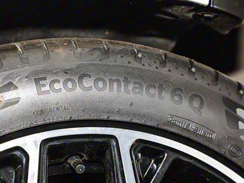 2025�� ���� 230�캽�����