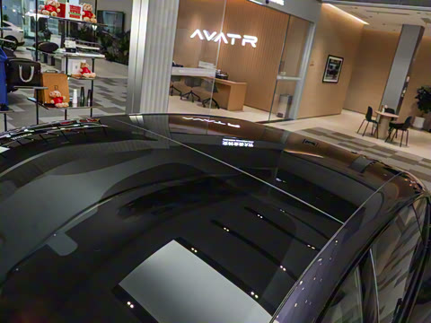 2026�� Max �����