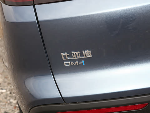 2026�� DM-i 133KM��ȡ��