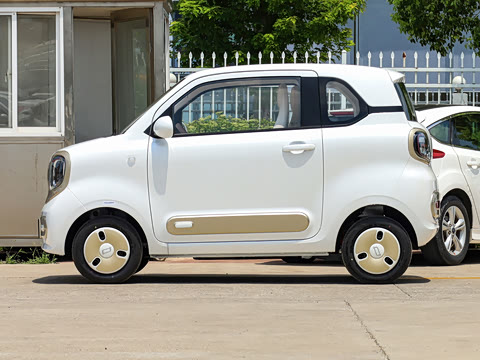 2026�� 222km ��ҫ��