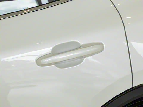 2024�� EcoBoost 245 ����ҫ����