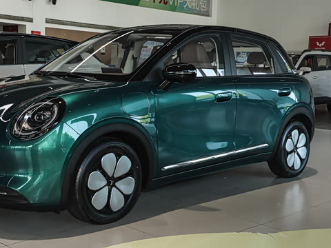 2026�� 330km ������