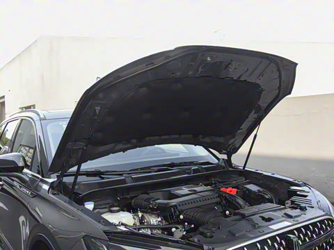 2025�� 2.0T ����������