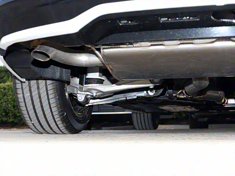 2026�� B4 ��Զ�˶���