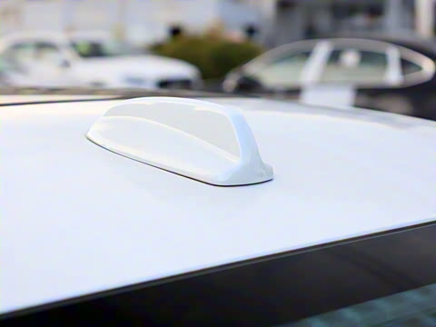 2026�� B4 ��Զ�˶���