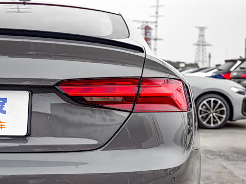 2025�� RS 5 2.9T Sportback ȼ���