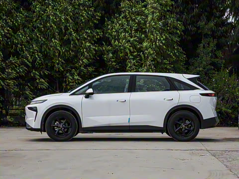 2026�� ��ƽ�� ������������