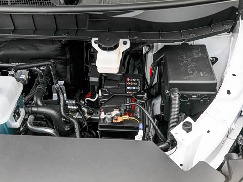 2026�� ��ƽ�� ������������