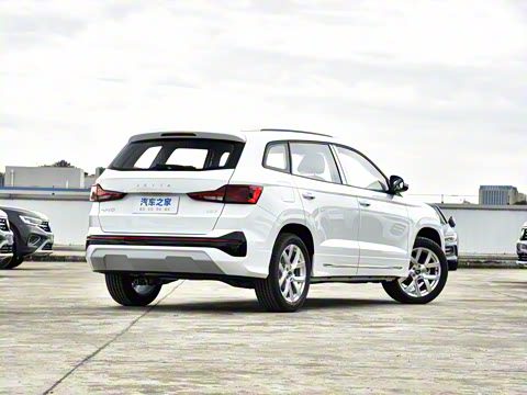 2026�� 280TSI �Զ��ȷ��