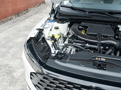 2026��  2.0T  EcoBoost  ������