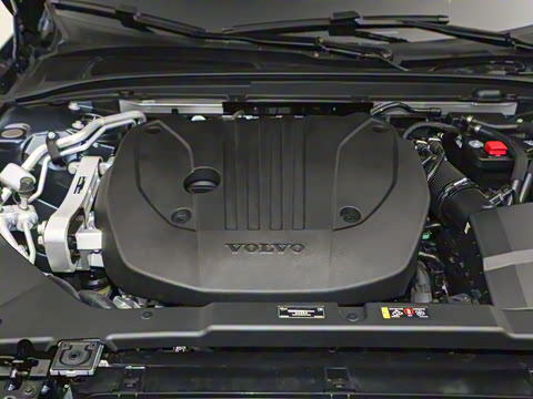 2026�� B5 �����˶���