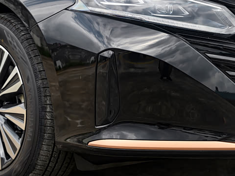 2025�� 2.0L SV �ڽ��