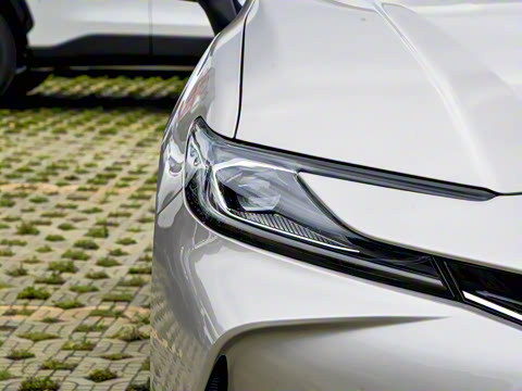 2026�� 2.0GVP ������