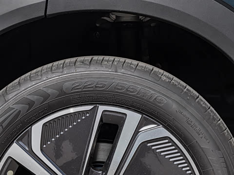 2026�� 135km �캽��