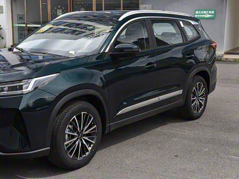 2025�� 290T ��������+