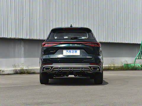 2025�� 290T ��������+