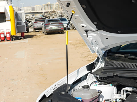 2026�� DM-i 220KM��Խ��