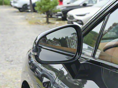 2025�� 825 Pro��