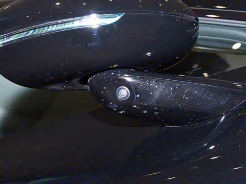 2025�� ���� Max��������