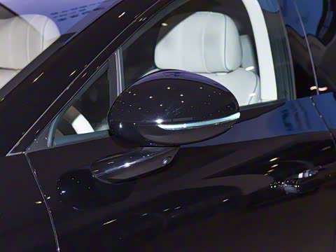 2025�� ���� Max��������