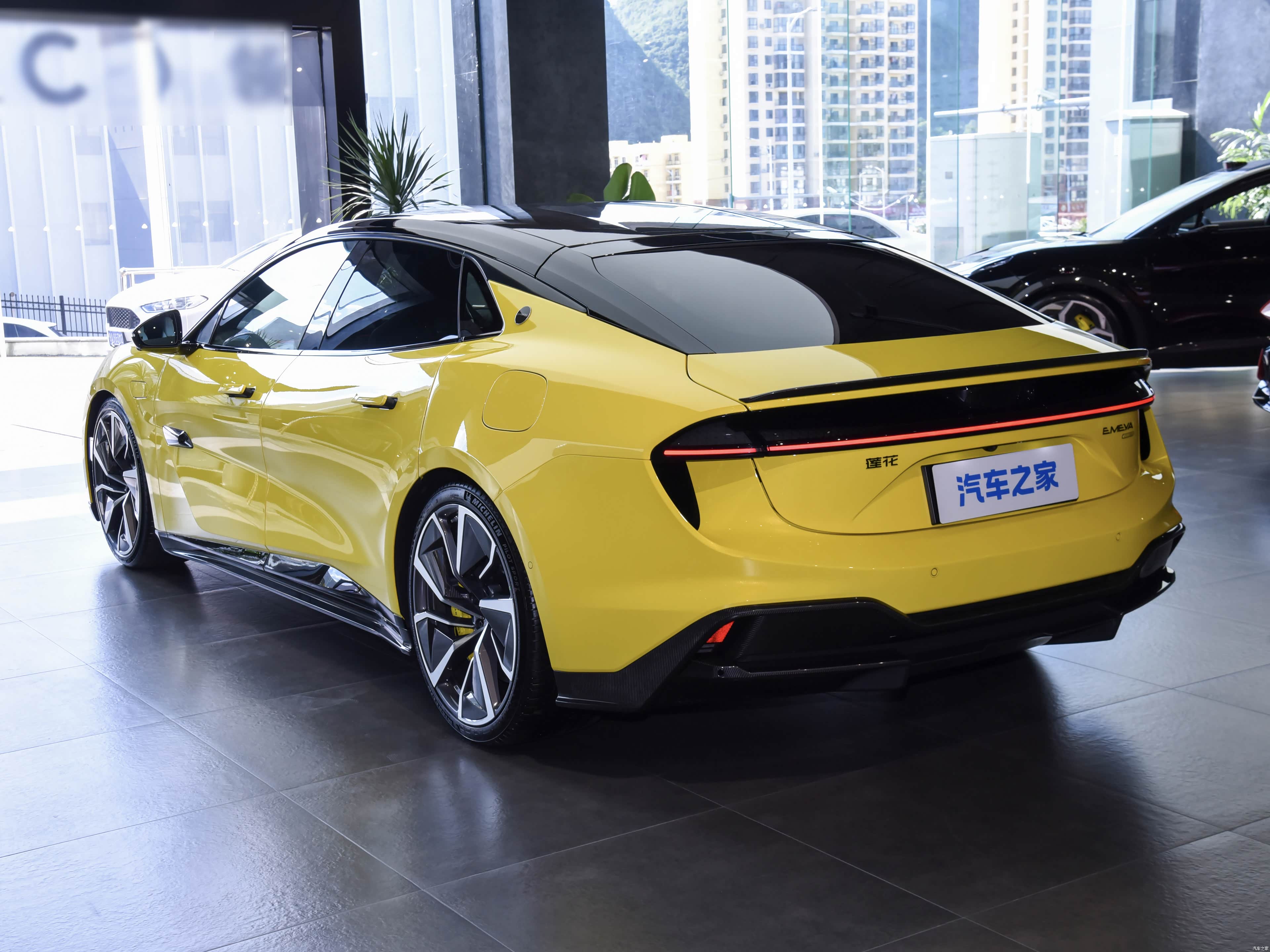 Lotus Emeya, миниатюра 5