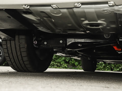 2025�� ˫�� 2.5L �����ƽ��