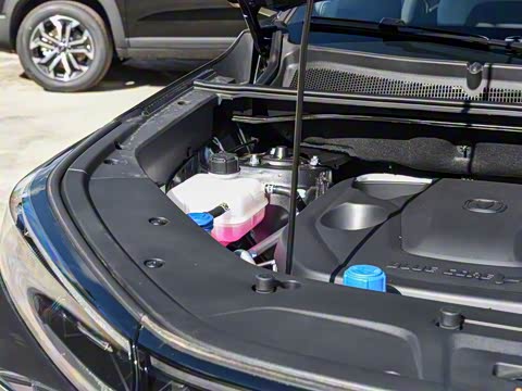 2026�� �ǻ۹ھ��� 1.5T ������ �Ǻ���