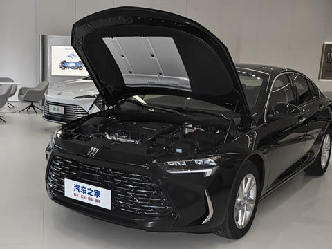2025�� 25T ������