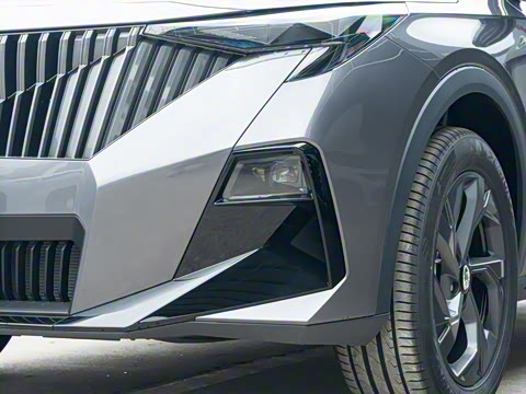 2026�� Ӱ�� 270T ������