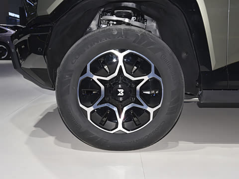 2025�� Pro
