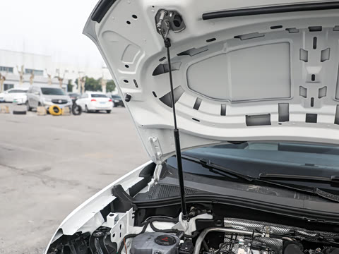 2026�� �Ŀ� 3000������ѡ�� 300TSI