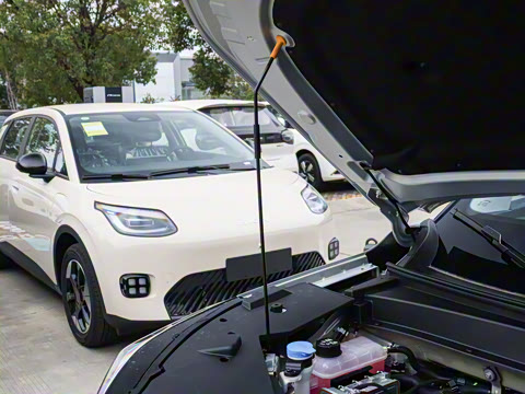 2026�� 210 ���װ�