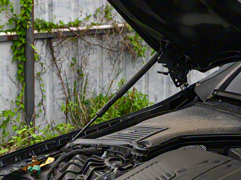 2025�� �Ŀ� C 350 eL