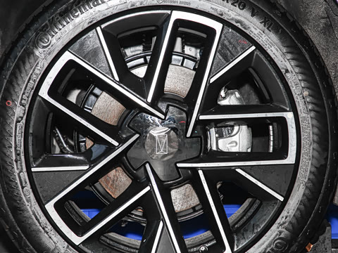 2025�� Elite�����