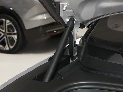 2026�� ��������������