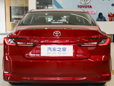 2026�� ˫�� 2.0HGVP ������