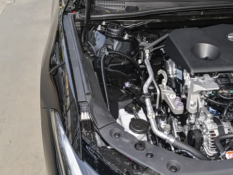 2026�� 2.0L ��ȡ��