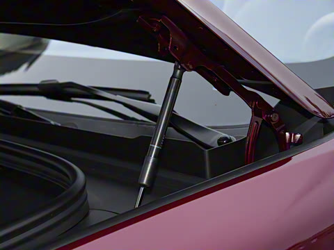 2026�� ���� Max�������� 5��