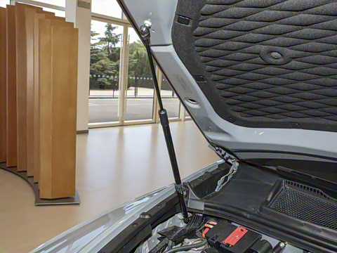 2024�� 4.0T V8 �ŶȰ�