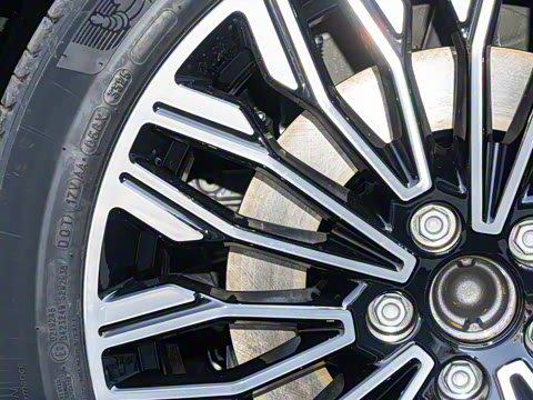 2025�� FREE+ ����Ǭ����