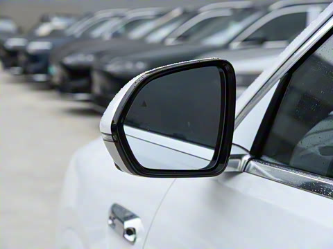 2026�� ���� Max������ 5��