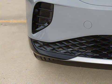 2025�� ������������ʿPRO��