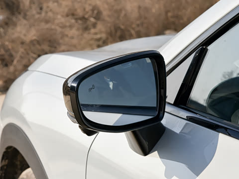 2026�� 215Max���̰�