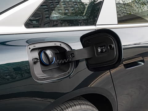 2025�� 260��������������