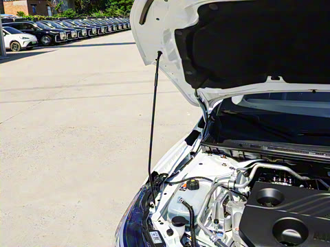 2026�� 1.6L CVT���İ�