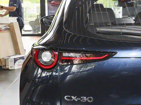 2025�� 2.0L �ֶ�������