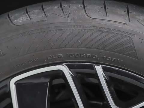 2026�� ����������