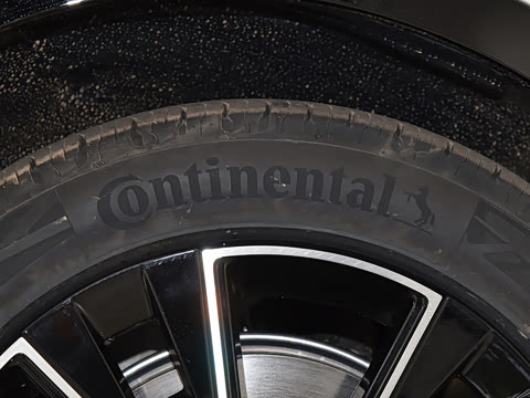 2026�� Max������