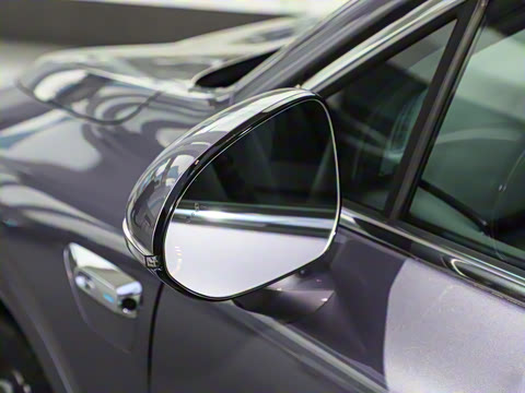 2025�� ���� Pro